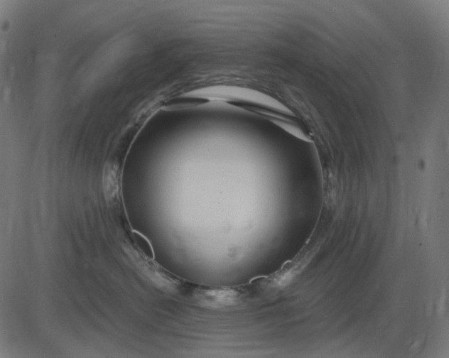 X0000082710478200702091752