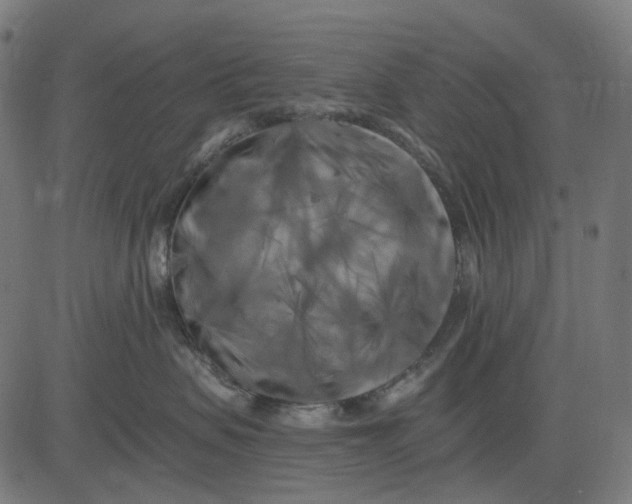 X0000082710479200702091752