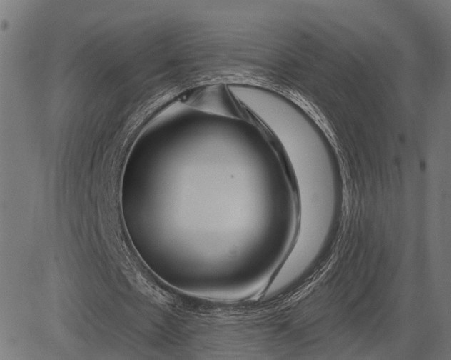 X0000082710481200702091751