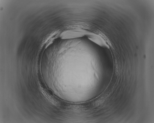 X0000082710482200702091751