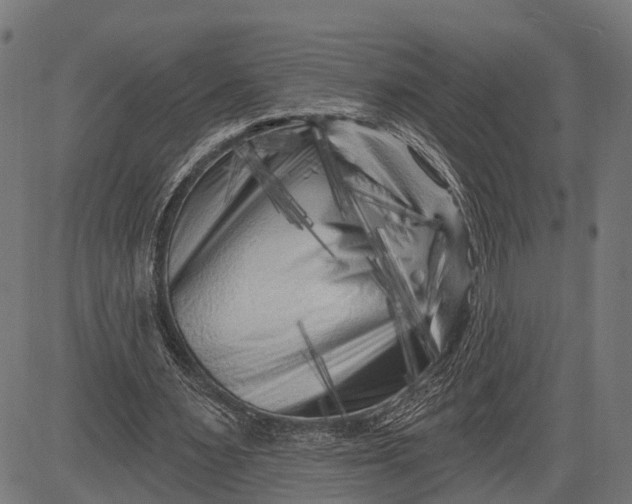 X0000082710483200702091751