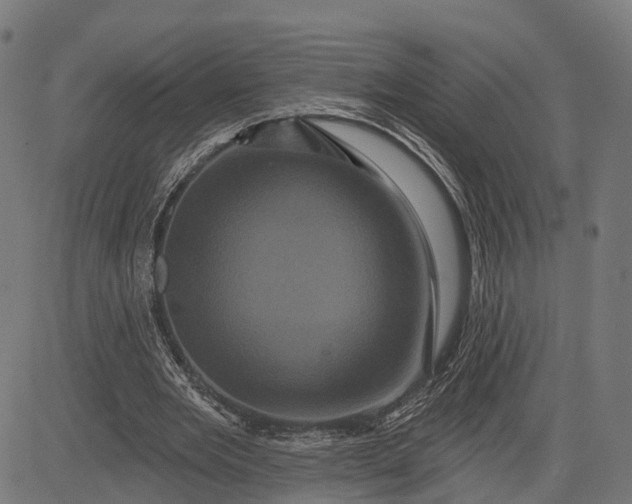 X0000082710485200702091751