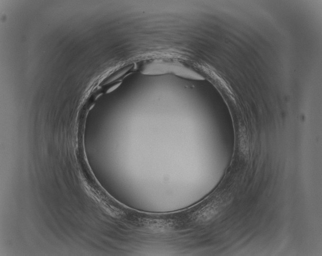 X0000082710486200702091751