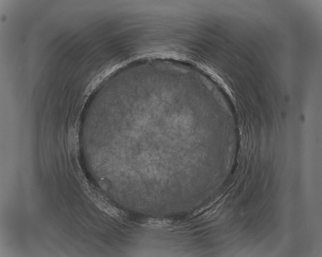 X0000082710487200702091751