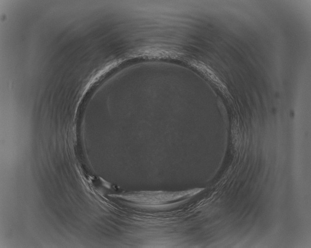 X0000082710488200702091751