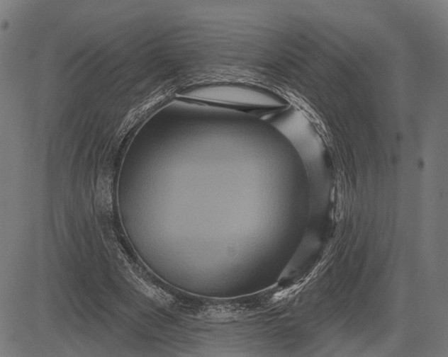 X0000082710489200702091751