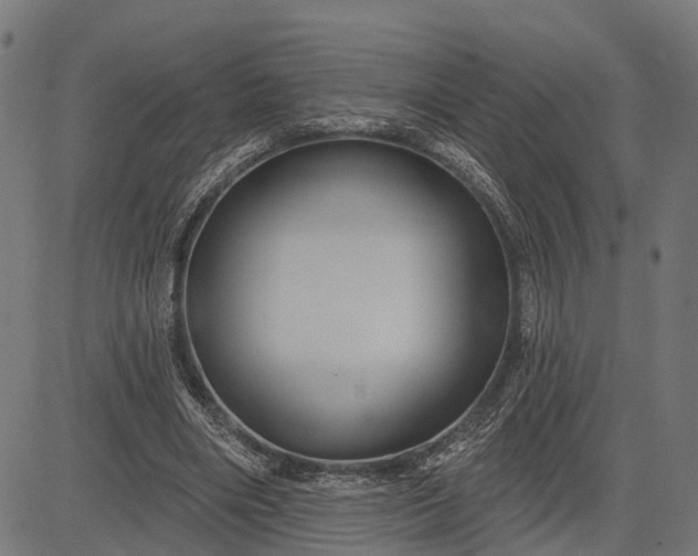 X0000082710490200702091751