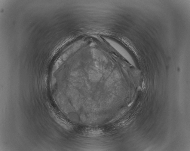 X0000082710491200702091751