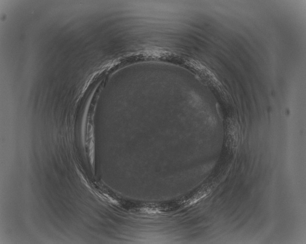 X0000082710496200702091751