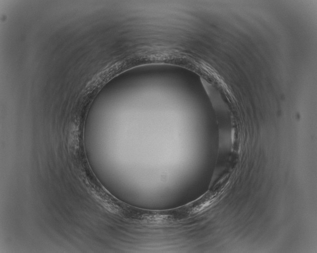 X0000082710497200702091751