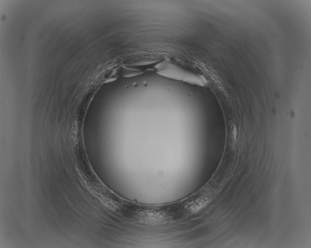 X0000082710498200702091751