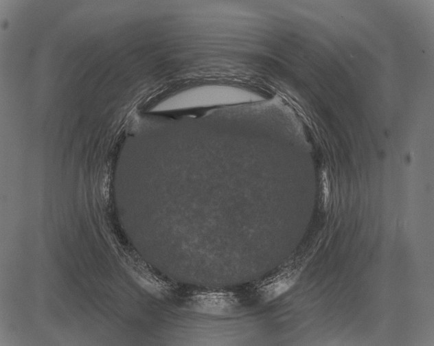 X0000082710499200702091751