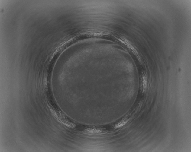 X0000082710500200702091751