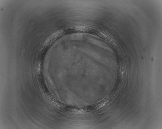 X0000082710502200702091751