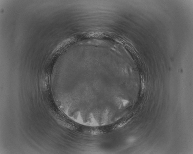 X0000082710503200702091751