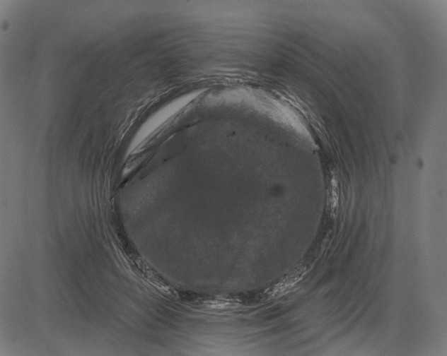 X0000082710504200702091751