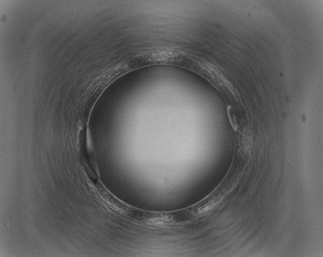 X0000082710505200702091751