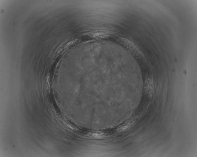 X0000082710506200702091751