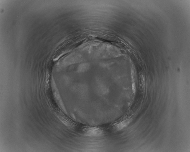 X0000082710507200702091751