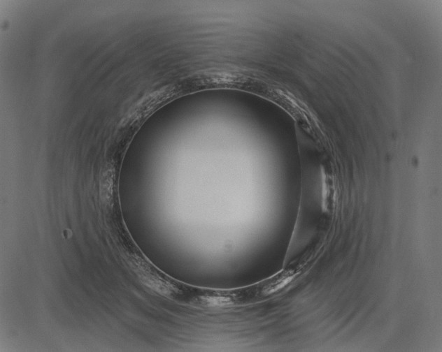 X0000082710509200702091751