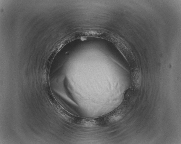 X0000082710510200702091751