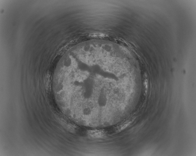 X0000082710511200702091751