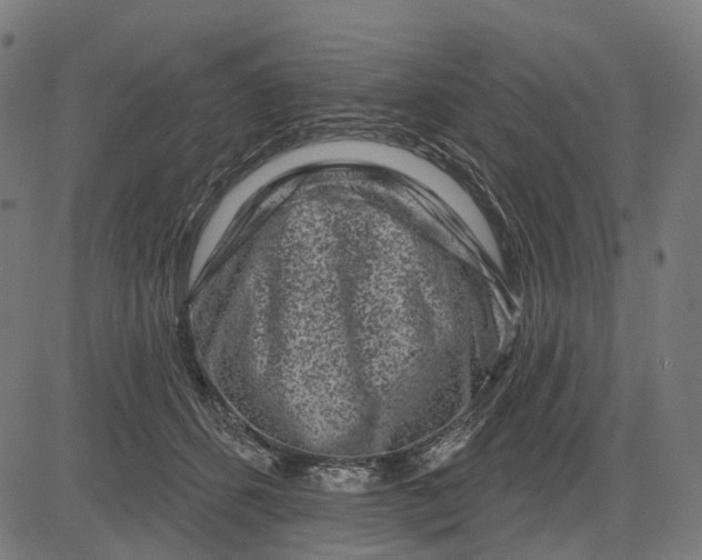 X0000082710512200702091751