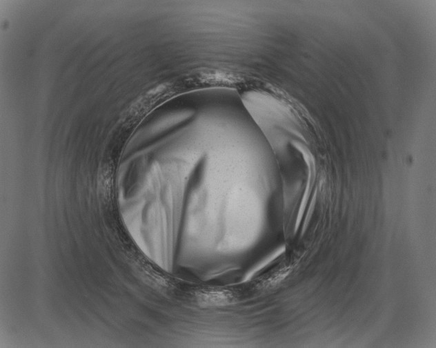 X0000082710513200702091751