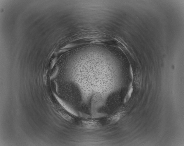 X0000082710516200702091751