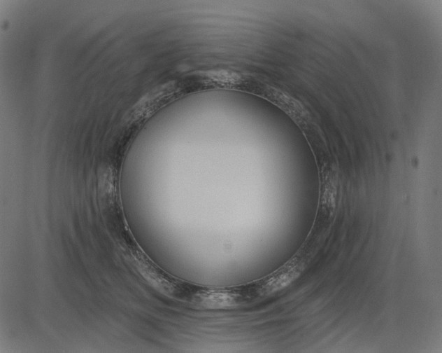 X0000082710518200702091751