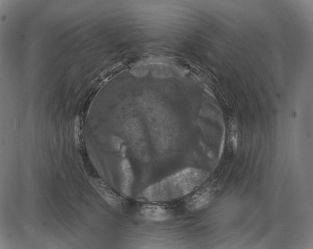 X0000082710519200702091751