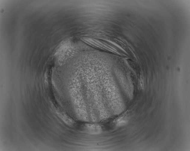 X0000082710520200702091751