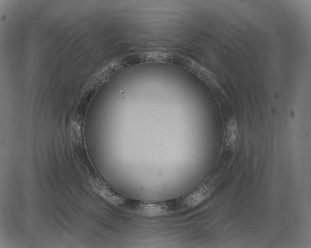 X0000082710522200702091751