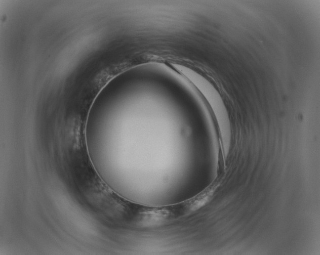 X0000082710525200702091750