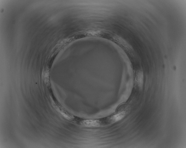 X0000082710526200702091750