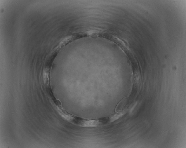 X0000082710527200702091750