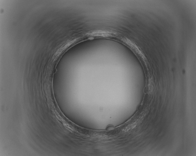 X0000082710529200702091750