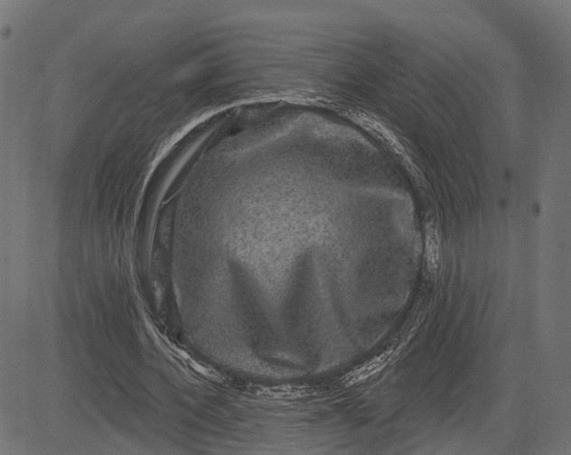 X0000082710532200702091750