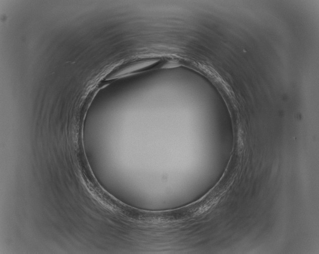 X0000082710533200702091750