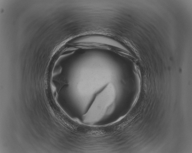 X0000082710536200702091750