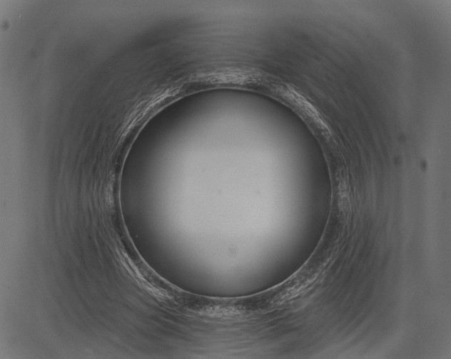 X0000082710537200702091750