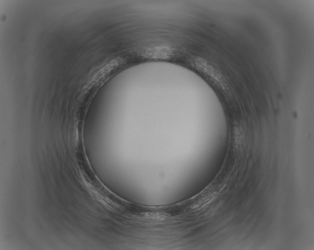 X0000082710541200702091750