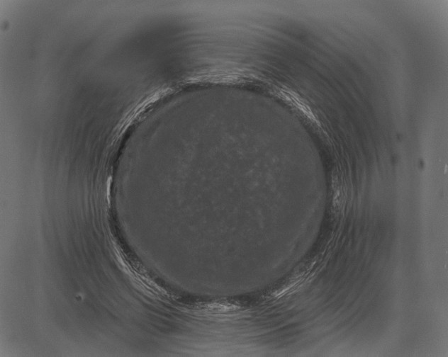 X0000082710542200702091750