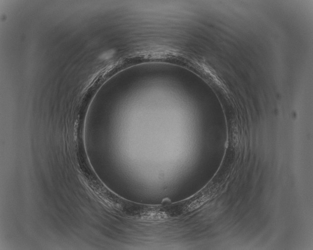 X0000082710543200702091750