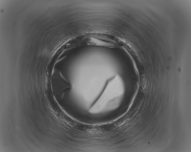 X0000082710544200702091750