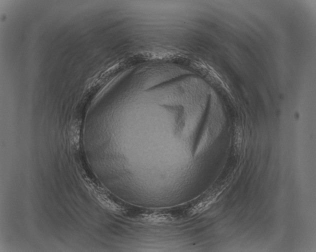 X0000082710545200702091750