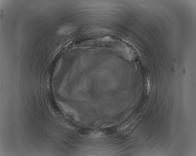 X0000082710547200702091750