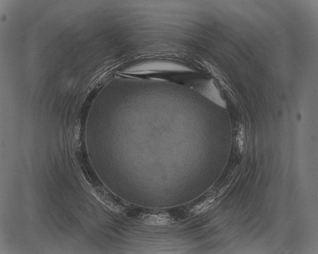 X0000082710548200702091750