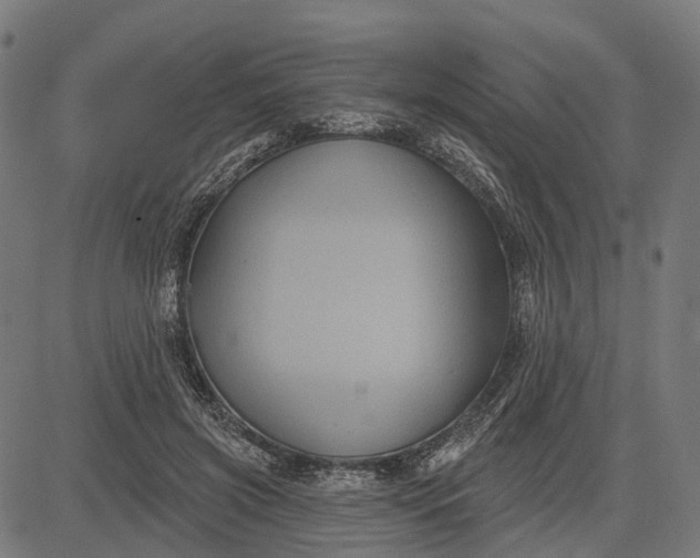 X0000082710549200702091750