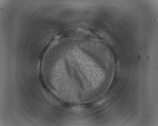 X0000082710550200702091750